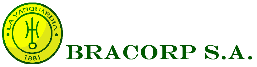 BRACORP S.A.